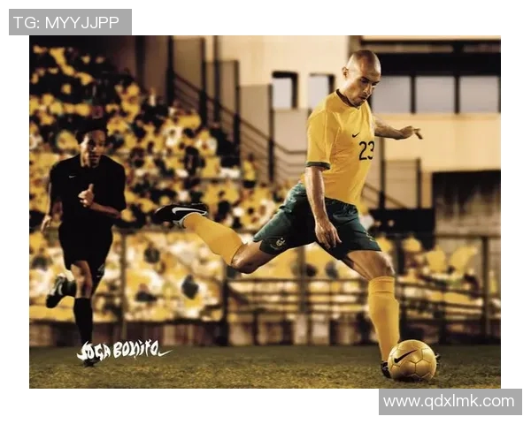 高清足球明星贴纸册子图片展示让你感受足球魅力与明星风采